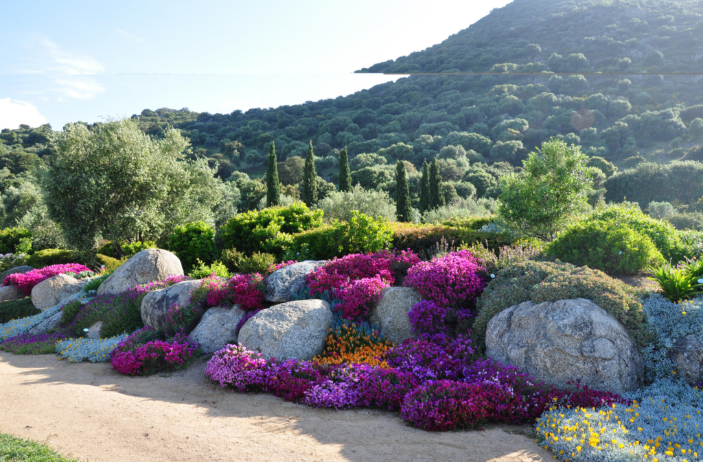 Aménagement jardin sec avec vue mer sur la Rive Sud par Angem Espaces Verts.